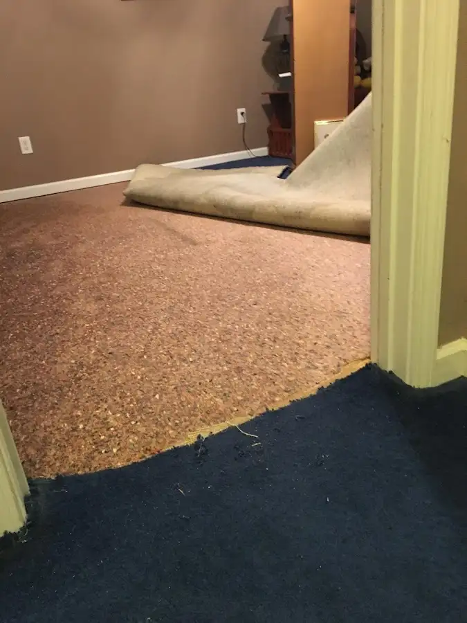 Carpet pad removal revealing water damage during Drying & Dehumidification in Windham